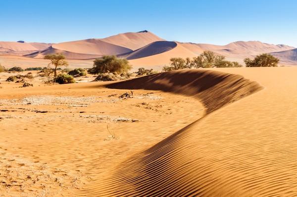 来到纳米比亚，你会知道什么才是非洲应有的样子！