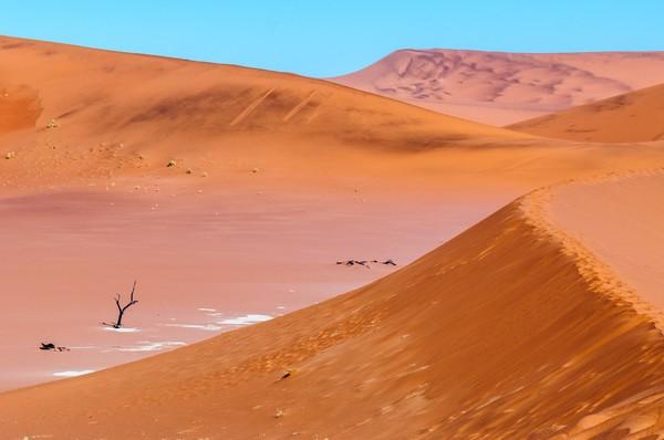 来到纳米比亚，你会知道什么才是非洲应有的样子！