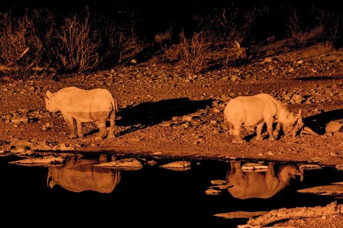 来到纳米比亚，你会知道什么才是非洲应有的样子！