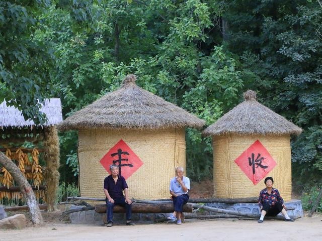 词风雅韵-冯振宇｜十里荷塘菡萏香一河碧水秀波光