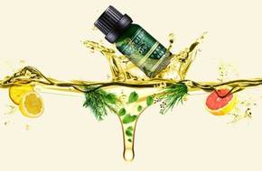 绮炬补鍜岀函闇茬殑钂搁杩囩▼,鐜懓鑺辫捀棣忕函闇插拰绮炬补