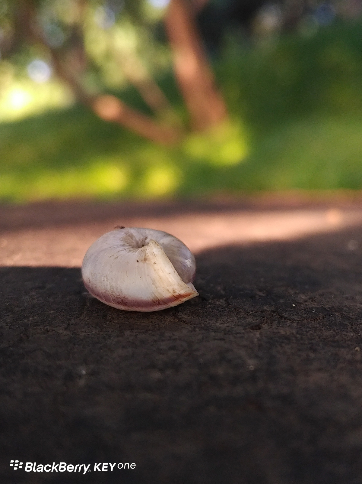 不仅仅拥有个性和安全，黑莓KEYone的拍照体验