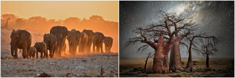 来到纳米比亚，你会知道什么才是非洲应有的样子！