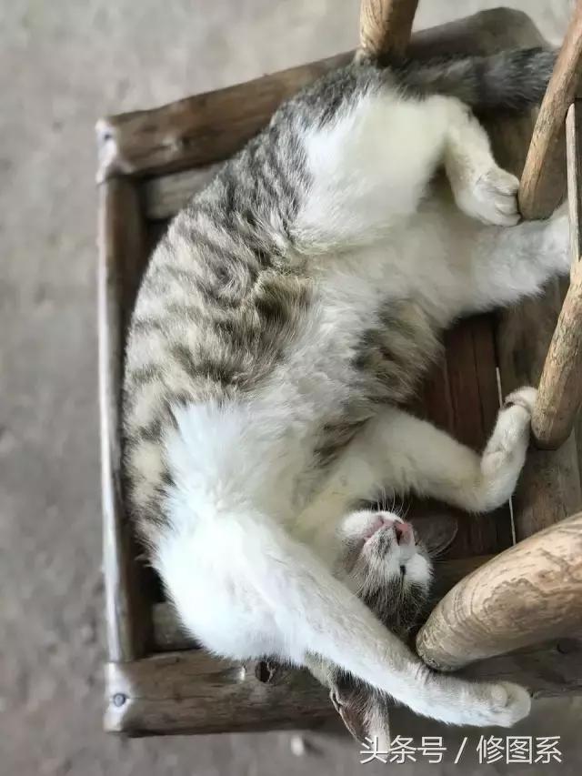 修图师会用哪些修图软件,修图师都用ps么