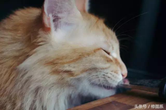 修图师会用哪些修图软件,修图师都用ps么