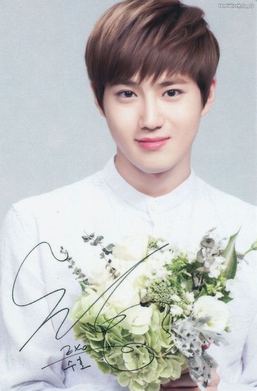 exo十二月的奇迹韩文版,exo十二位成员照片