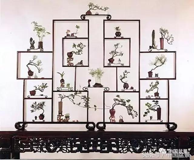 盆景的意境之美,优雅的盆景