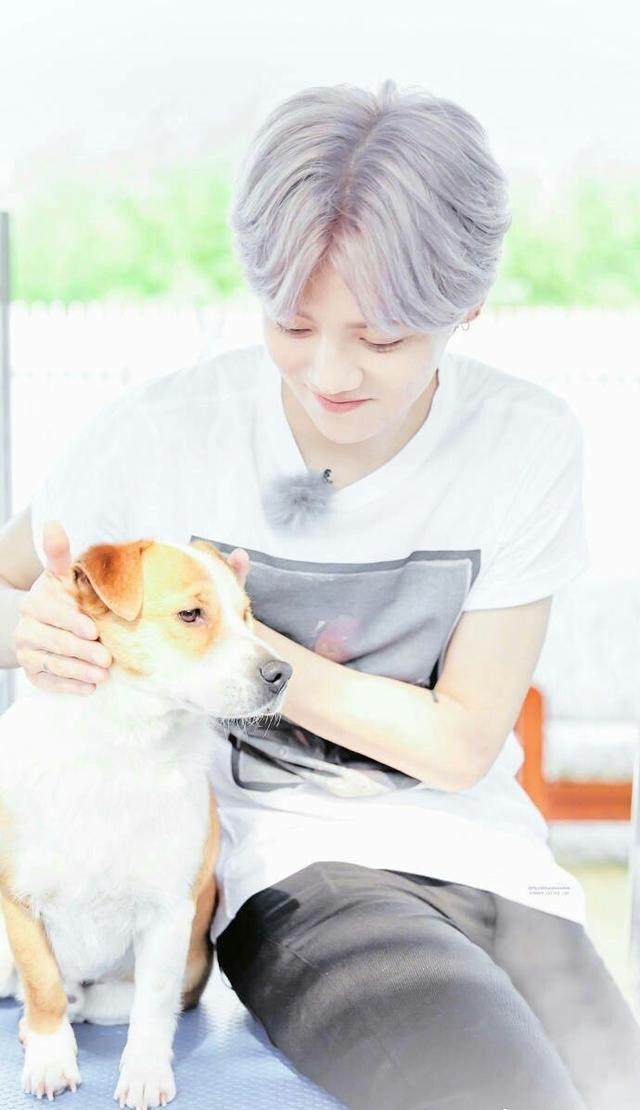 鹿晗是个怎样的人,鹿晗是什么类型的帅哥