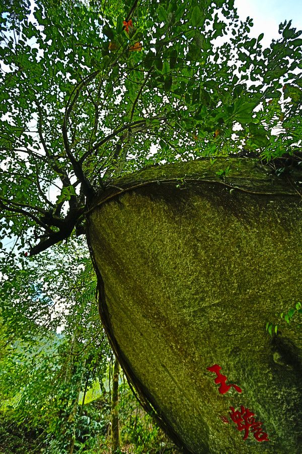 腾冲樱花谷风景区,腾冲十里樱花风景区