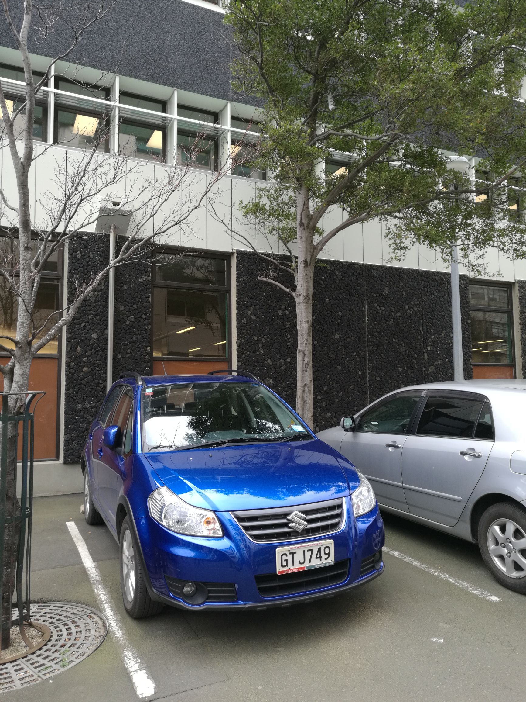 新西兰但尼丁城市介绍,新西兰哪个城市比较宜居