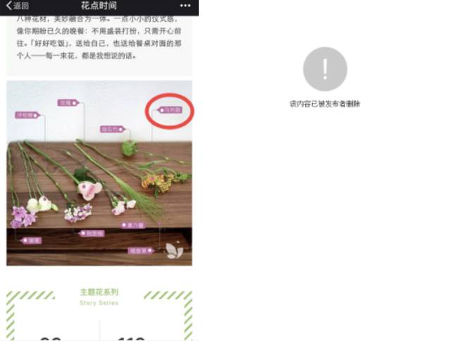 flowerplus怎么了,flowerplus花加女神节
