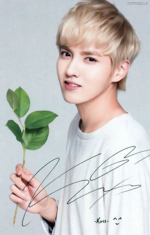 exo十二月的奇迹韩文版,exo十二位成员照片