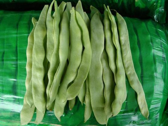 夏天应季蔬菜有哪些,夏季时令蔬菜有哪些品种