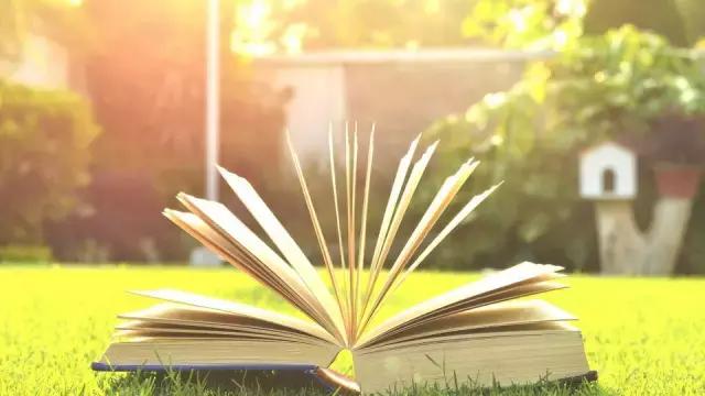 深圳中英文小学是双语吗,深圳5年级英语知识点梳理