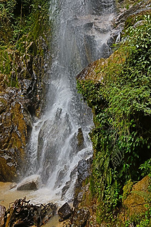 腾冲樱花谷风景区,腾冲十里樱花风景区