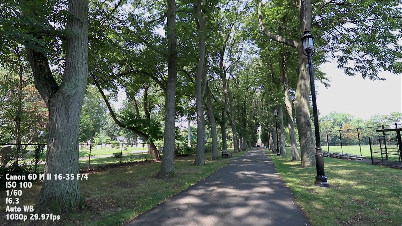 佳能6d2和5d4哪个好,尼康d810和佳能6d2哪个值得入手