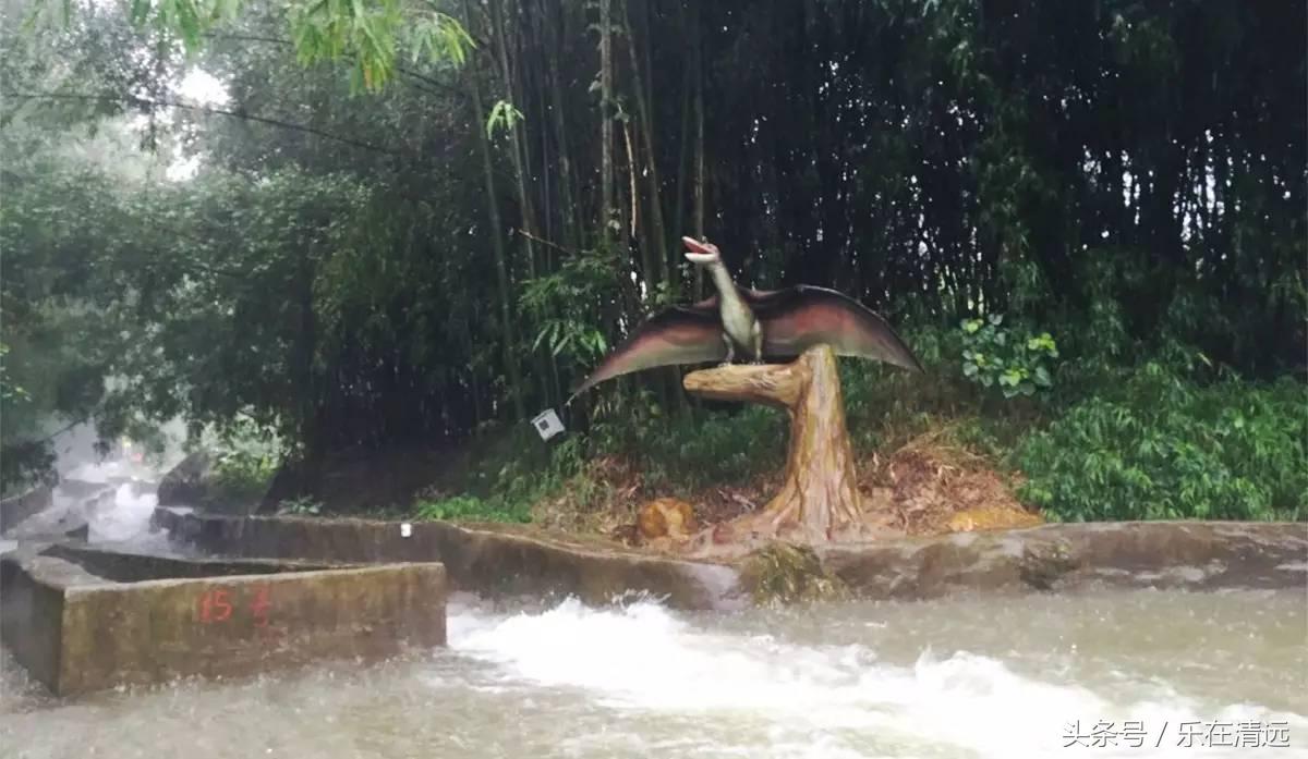 顶着烈日来一次漂流,顶着烈日前行