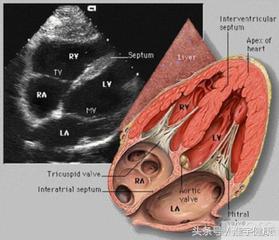体检报告怎么看轻松看懂体检报告,2分钟看懂体检