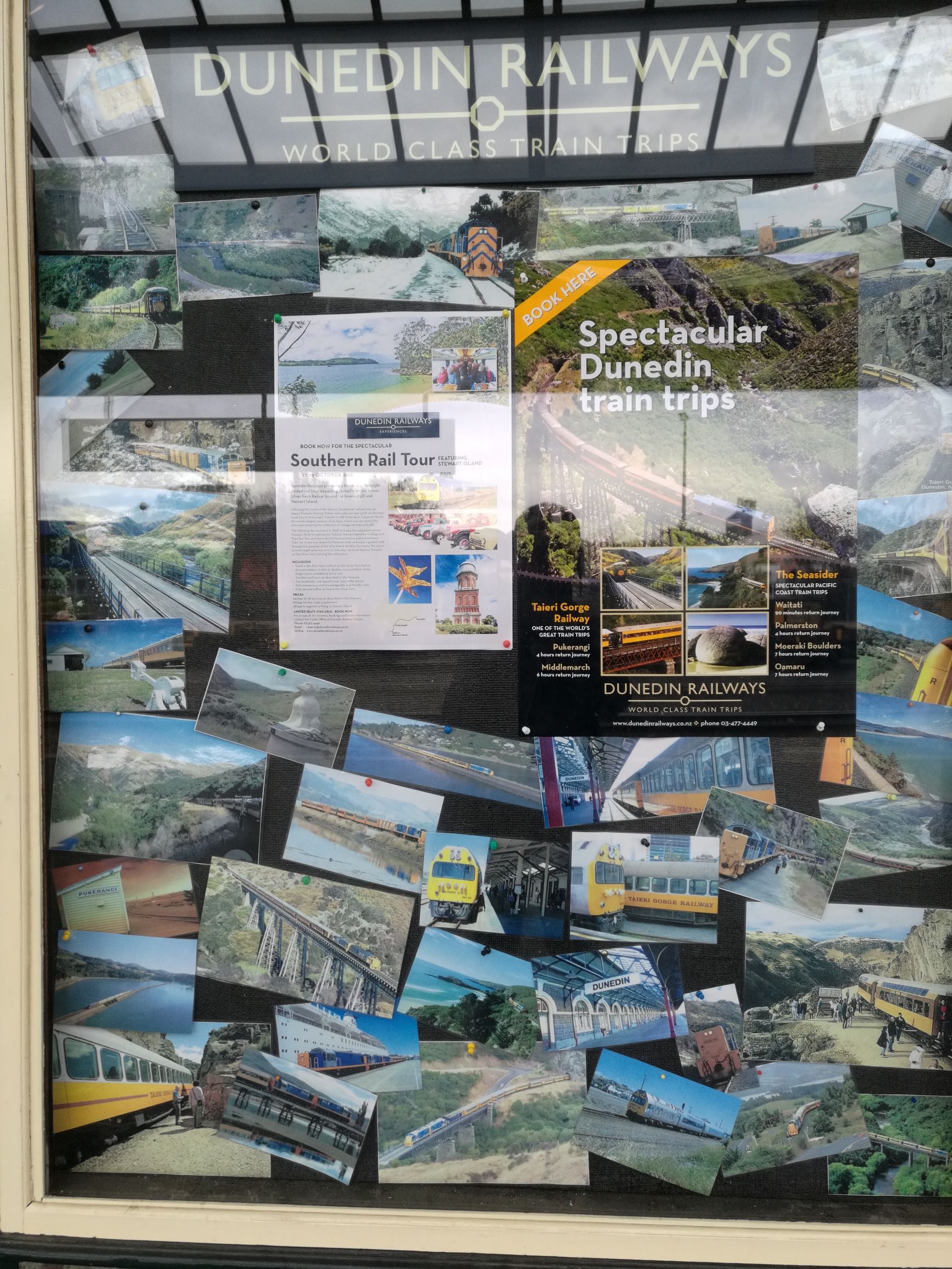 新西兰但尼丁城市介绍,新西兰哪个城市比较宜居