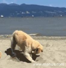 牙医的心酸洗白之路,牙医的辛酸到底有多严重