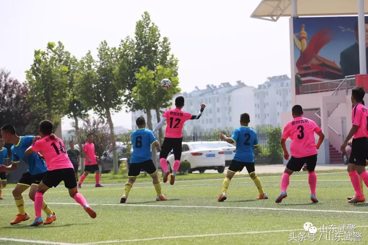 卫士动力110,卫士动力