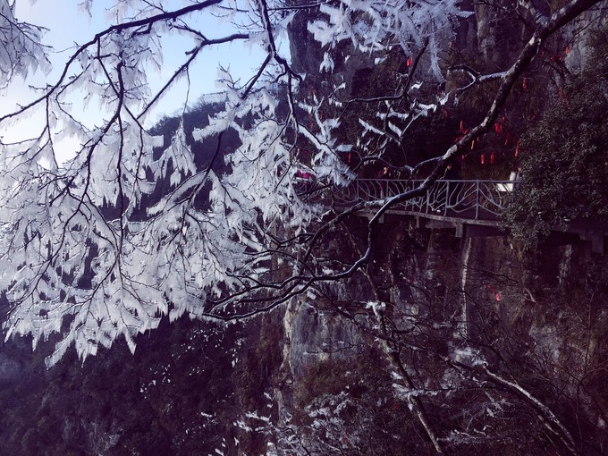 七天六晚长沙张家界吃货视角带你领略冰天雪地的张家