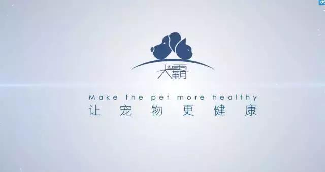 pfa颁奖现场,pfa奖项