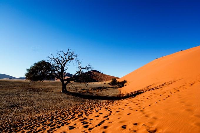 来到纳米比亚，你会知道什么才是非洲应有的样子！