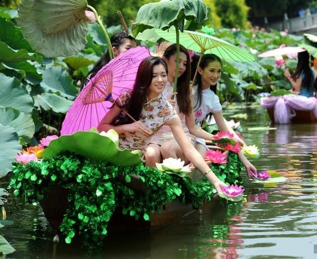 词风雅韵-冯振宇｜十里荷塘菡萏香一河碧水秀波光