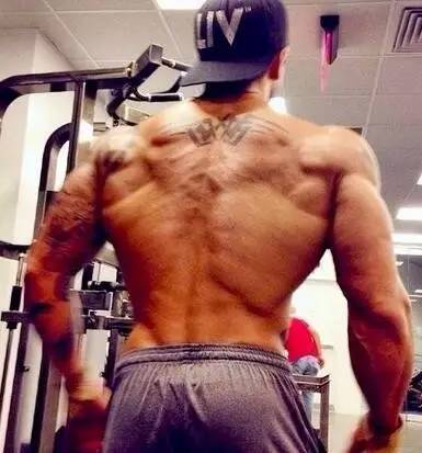 初级健身需要喝蛋白粉吗,初级健身有必要用肌酸么