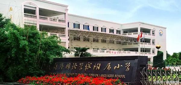 从幼升小到小升初,成都幼升小小学是自己选吗