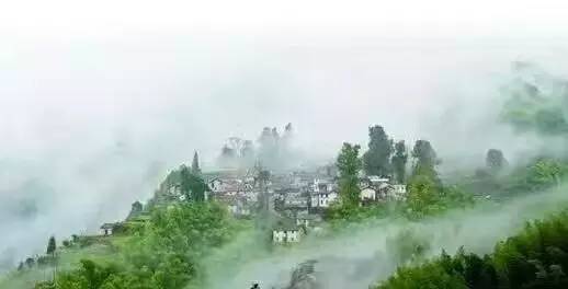 词风雅韵-冯振宇｜十里荷塘菡萏香一河碧水秀波光