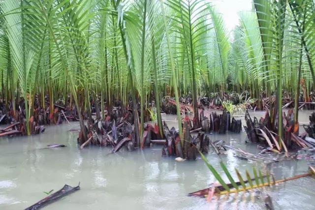 越南岘港4天旅游攻略,越南岘港一日游攻略图文