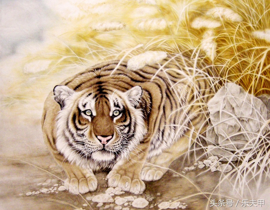 长期练卧虎功对身体好吗,卧虎功的正确锻炼方法