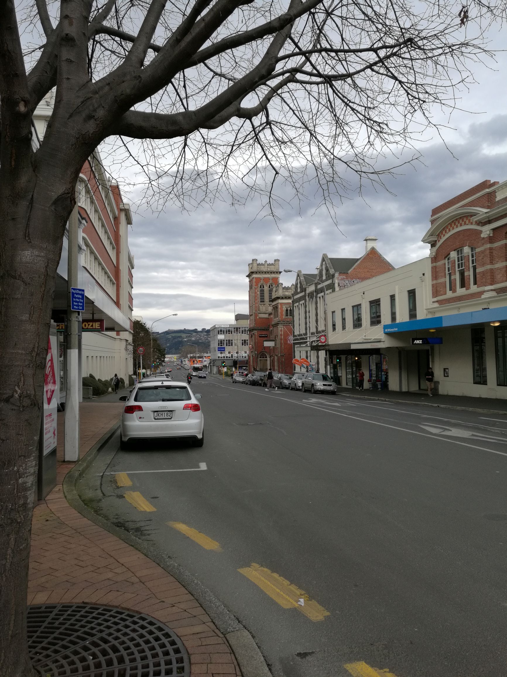 新西兰但尼丁城市介绍,新西兰哪个城市比较宜居