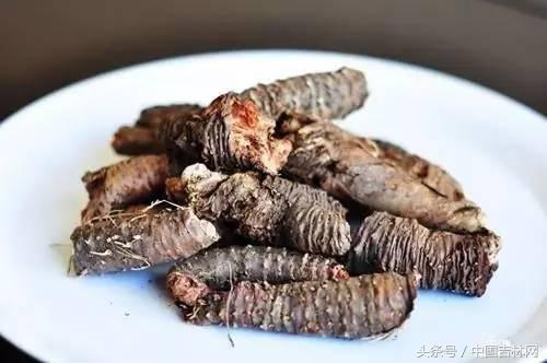 到吉林玩买啥、吃啥？再也不用刘烨代购吉林土特产了！