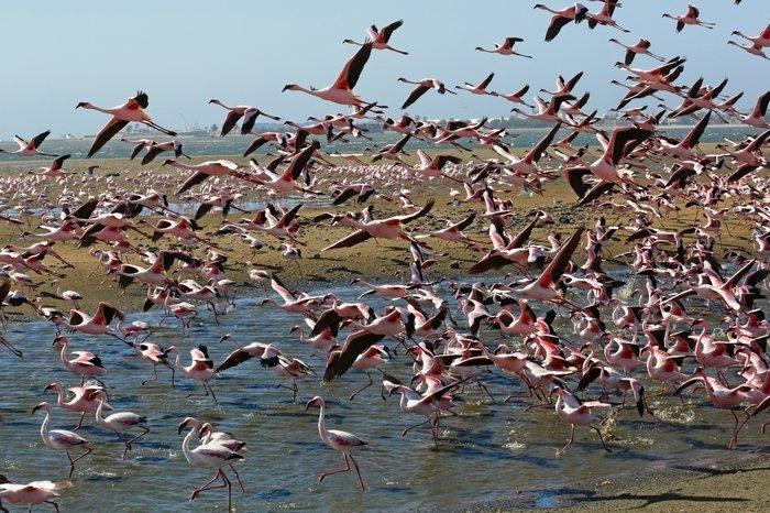 来到纳米比亚，你会知道什么才是非洲应有的样子！