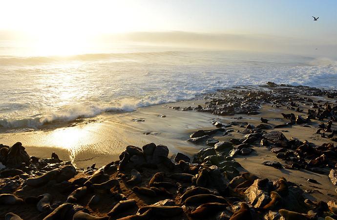 来到纳米比亚，你会知道什么才是非洲应有的样子！