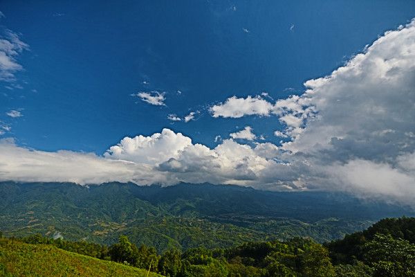 腾冲樱花谷风景区,腾冲十里樱花风景区