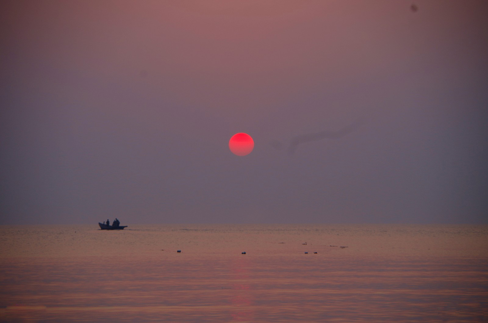 北戴河的鸽子窝公园,北戴河鸽子窝公园之旅
