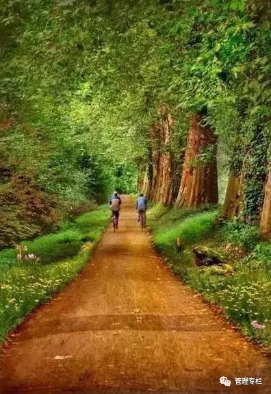 厚黑学目的是让人厚道还是厚黑,厚黑学五个厚黑秘诀