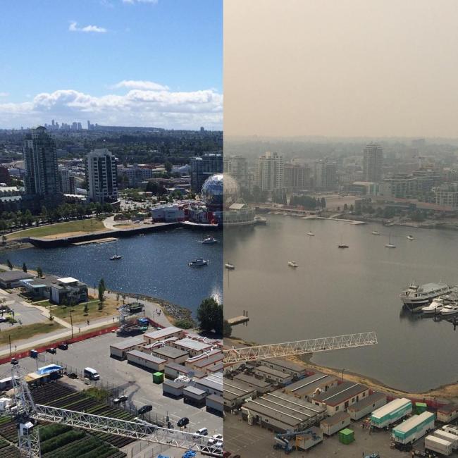 我们都被温哥华宠坏了