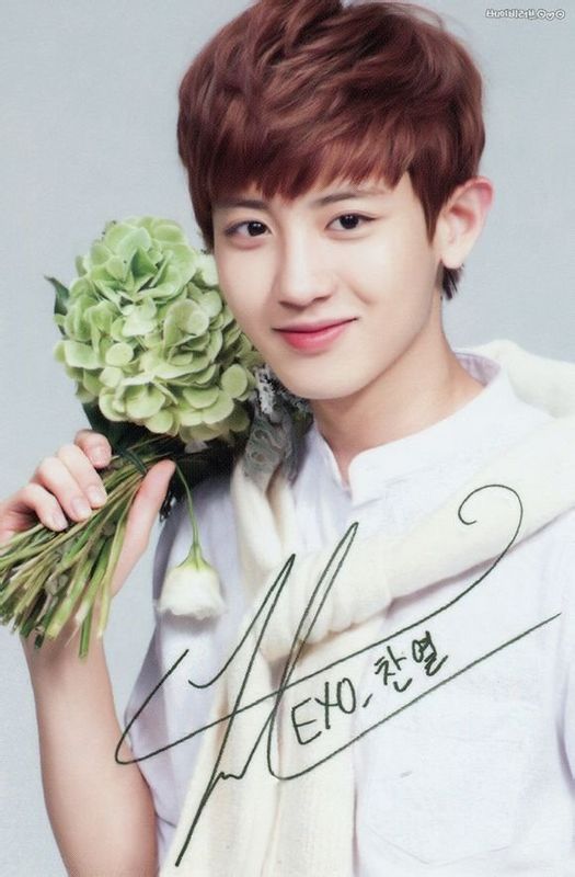 exo十二月的奇迹韩文版,exo十二位成员照片