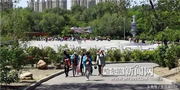 今天哈尔滨哪里免门票,2019哈尔滨免费优惠活动