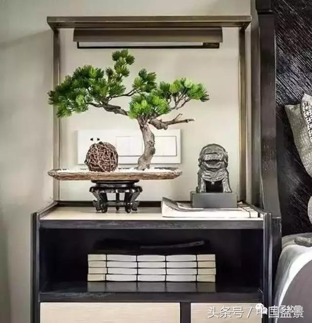 盆景的意境之美,优雅的盆景