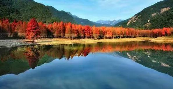 独霸牛头山，只为自己的甜蜜事业/临海味道