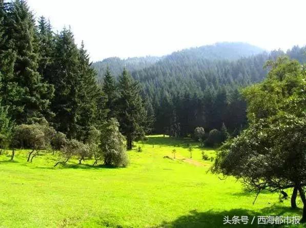 西宁变化,西宁这几年城市变化