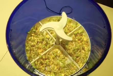 五种最不值得买的家具,买什么家具最好又便宜实用