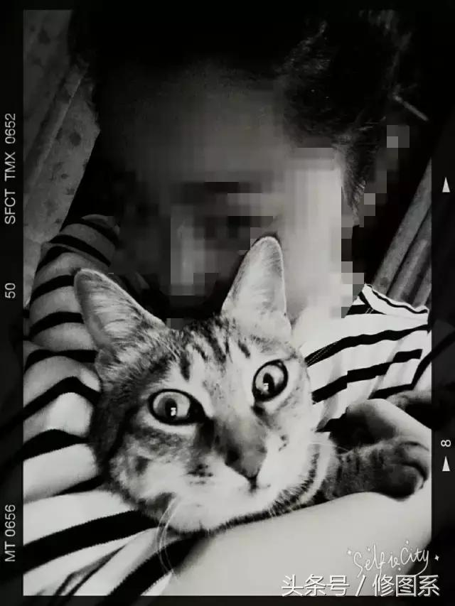 修图师会用哪些修图软件,修图师都用ps么