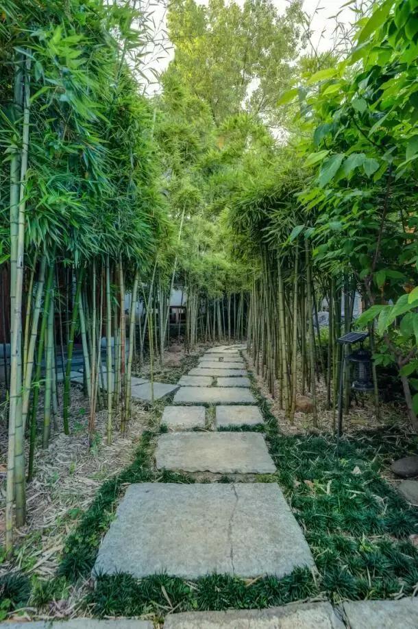 转型升级看美宿｜闲庭——任门外风吹雨打，我自胜似闲庭信步